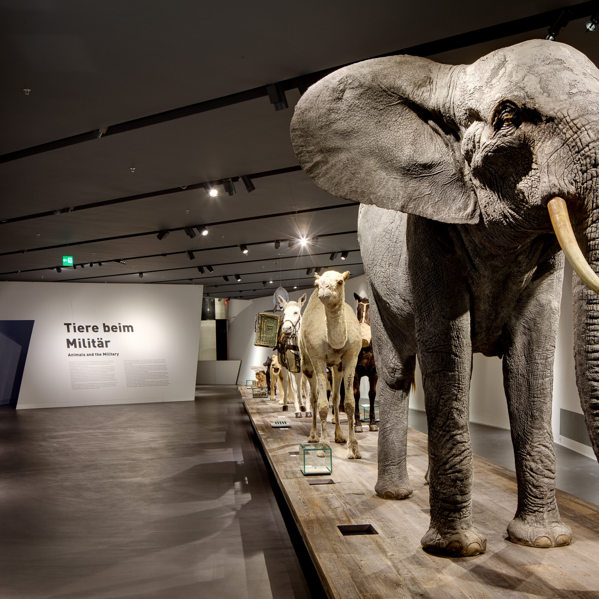 Das Foto zeigt eine Parade lebensgroßer Tiere auf einem Holzpodest, z.B. einen Elefanten, ein Dromedar und ein Pferd. 