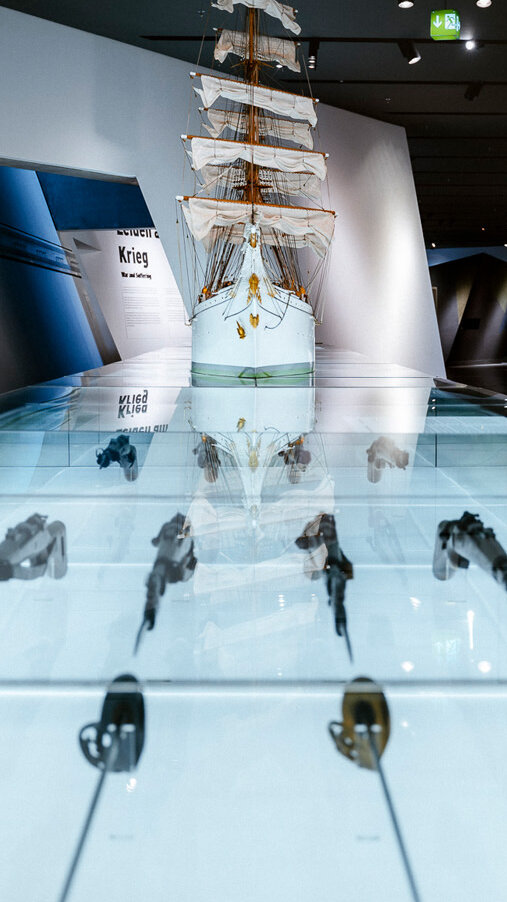 Auf dem Bild zu sehen ist eine Vitrine aus dem Bereich Formation der Körper. 
